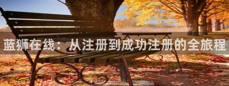 耀世娱乐5招商：蓝狮在线：从注册到成功注册的全旅程