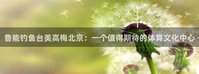 耀世娱乐2平台登录：鲁能钓鱼台美高梅北京：一个值得期待的体育文化中心