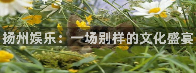 耀世娱乐体育网页版入口：扬州娱乐：一场别样的文化盛宴