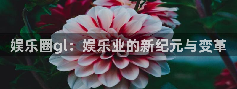 耀世娱乐平台官网：娱乐圈gl：娱乐业的新纪元与变革