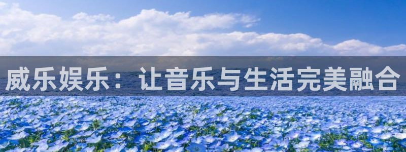 耀世娱乐3平台登录注册：威乐娱乐：让音乐与生活完美融合