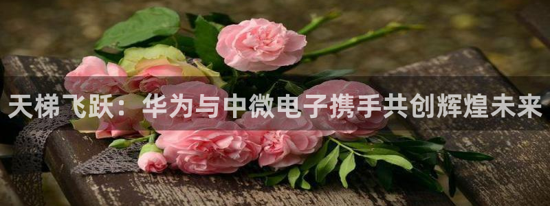 耀世娱乐3官网登录：天梯飞跃：华为与中微电子携手共创辉煌未来