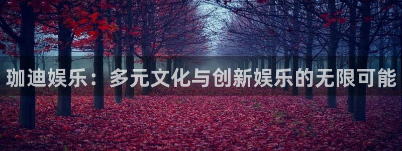 上海耀世娱乐汽车电子有限公司：珈迪娱乐：多元文化与创新娱乐的无限可能