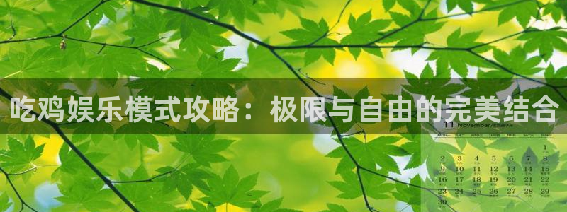 耀世娱乐包怎么样：吃鸡娱乐模式攻略：极限与自由的完美结合