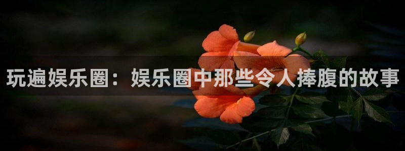 耀世娱乐2登录：玩遍娱乐圈：娱乐圈中那些令人捧腹的故事
