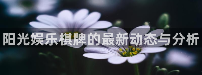 耀世娱乐体育平台开号链接：阳光娱乐棋牌的最新动态与分析