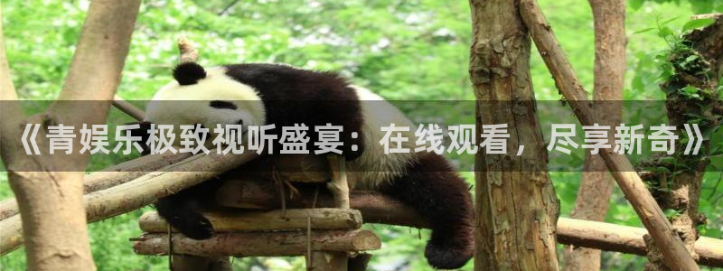 耀世娱乐体育凯捷代理注册：《青娱乐极致视听盛宴：在线观看，尽享新奇》