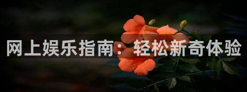 耀世娱乐2平台注册：网上娱乐指南：轻松新奇体验