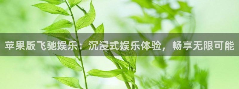 耀世娱乐平台总代理：苹果版飞驰娱乐：沉浸式娱乐体验，畅享无限可能