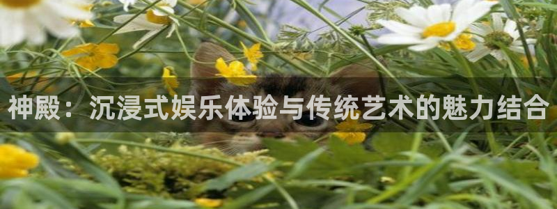 耀世娱乐体育平台总代理：神殿：沉浸式娱乐体验与传统艺术的魅力结合