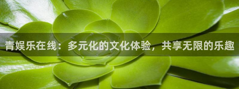 耀世娱乐体育代理申请流程：青娱乐在线：多元化的文化体验，共享无限的乐趣