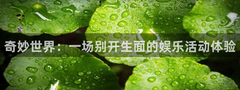 耀世娱乐现在优惠多少：奇妙世界：一场别开生面的娱乐活动体验