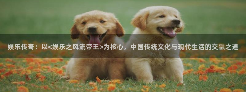 耀世娱乐3平台登录注册：娱乐传奇：以<娱乐之风流帝王>为核心，中国传统文化与现代
