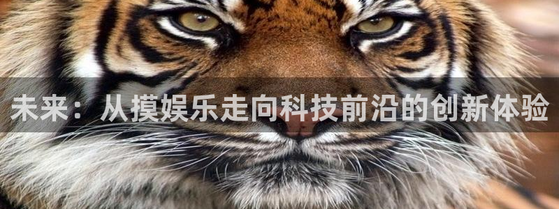 耀世娱乐5注册：未来：从摸娱乐走向科技前沿的创新体验