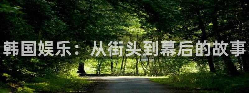 耀世娱乐现在优惠多少：韩国娱乐：从街头到幕后的故事