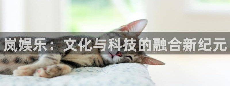 耀世娱乐凯捷注册：岚娱乐：文化与科技的融合新纪元
