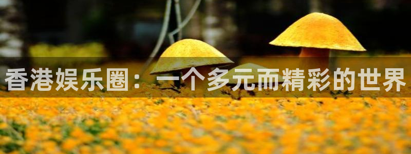 耀世娱乐平台：香港娱乐圈：一个多元而精彩的世界