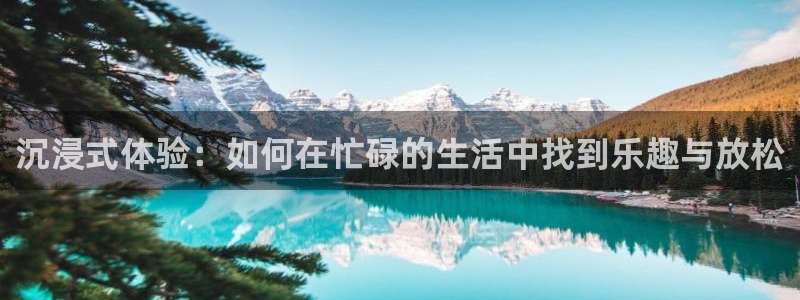 耀世娱乐包怎么样：沉浸式体验：如何在忙碌的生活中找到乐趣与放松