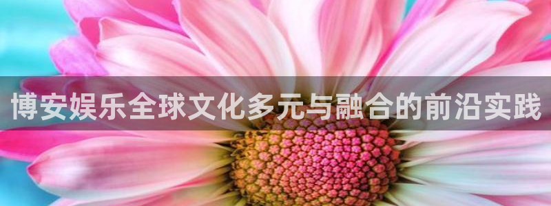 耀世娱乐3官网：博安娱乐全球文化多元与融合的前沿实践
