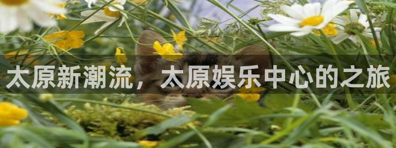 耀世娱乐4平台：太原新潮流，太原娱乐中心的之旅